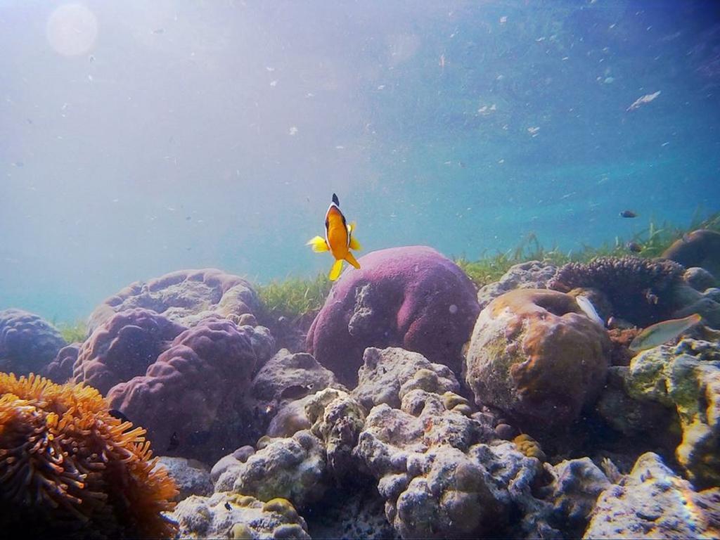 Alvi Star Inn Thulhaadhoo Dış mekan fotoğraf
