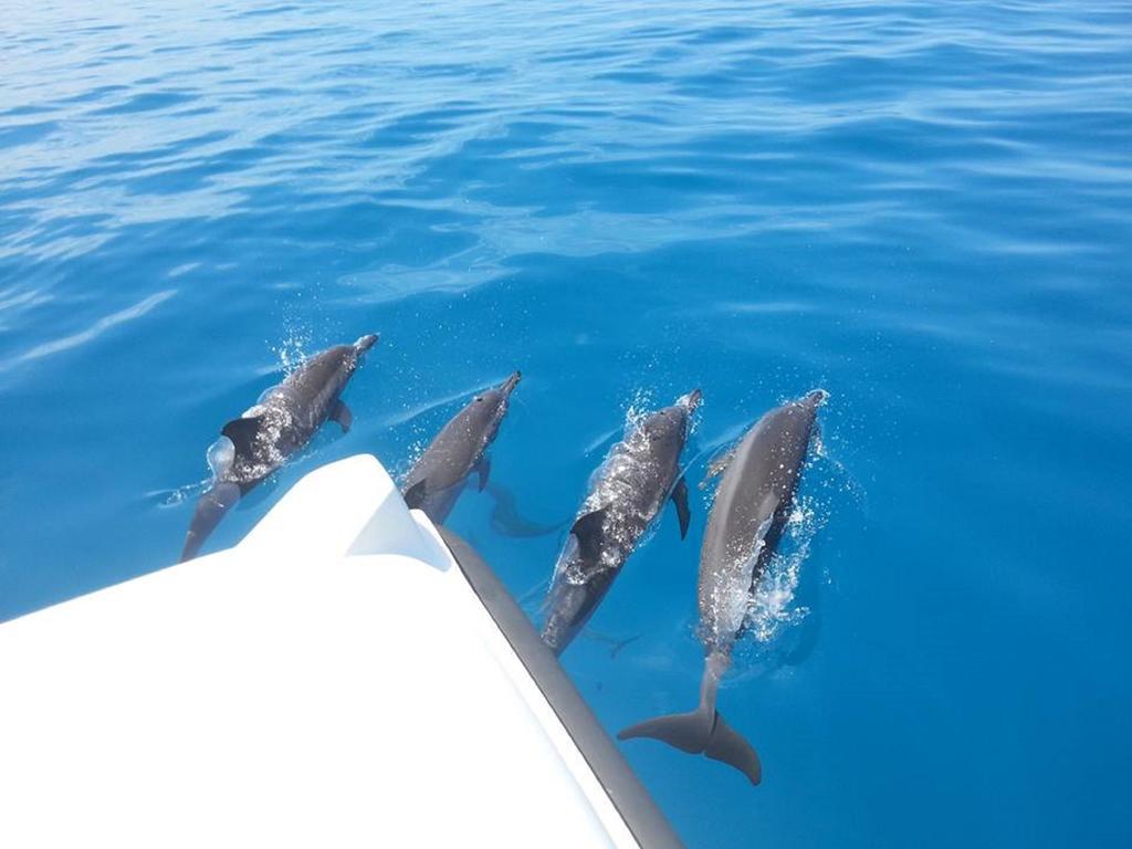 Alvi Star Inn Thulhaadhoo Dış mekan fotoğraf