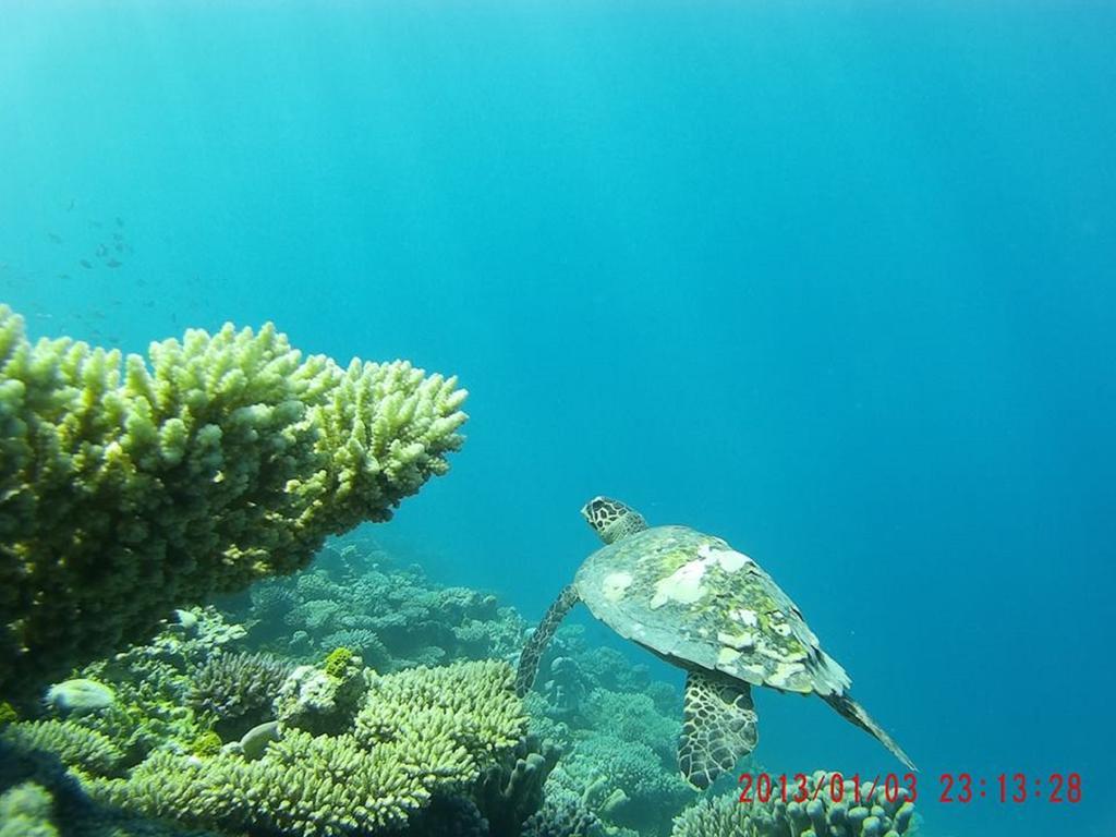 Alvi Star Inn Thulhaadhoo Dış mekan fotoğraf
